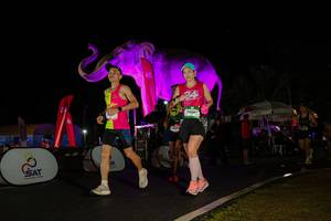 BIB: 
                            <button type="button" onclick="openModal(26543922)" class="btn btn-primary btn-sm float-right btn-popup" data-toggle="modal" data-target=".modal-high-quality">
                        <i class="fas fa-shopping-cart"></i> Add to Cart
                    </button>
                                            <button type="button" onclick="isThisMe(26543922, true)" class="btn btn-success btn-sm float-right btn-popup btn-isme hidden" data-toggle="tooltip" data-placement="bottom" title="นี่คือรูปของคุณใช่ไหม คลิกที่นี่เพื่อเอาเข้าอัลบั้ม">
                        <i class="fas fa-plus"></i> Add to album
                    </button>
                    <button type="button" onclick="isThisMe(26543922, false)" class="btn btn-warning btn-sm float-right btn-popup btn-isnotme hidden">
                        <i class="fas fa-ban"></i> Remove from album
                    </button>